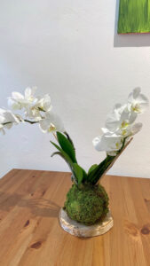 Kokedama con Orchidea - 60€